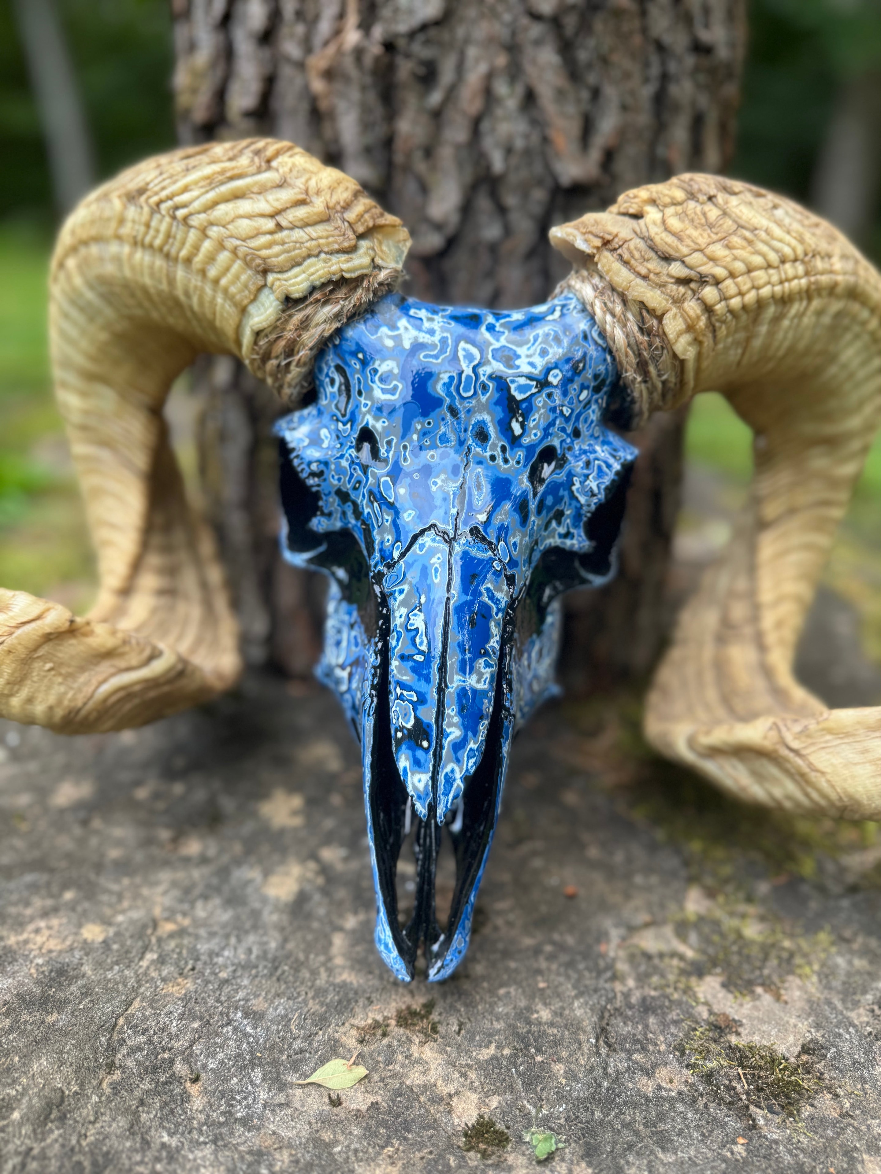 Skull painting 5